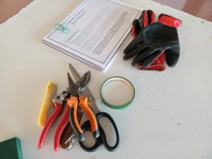 Técnicas de Base en floristería, con Juan Chamorro