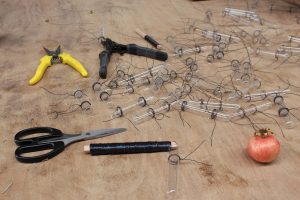 Conocimiento de nuevas técnicas